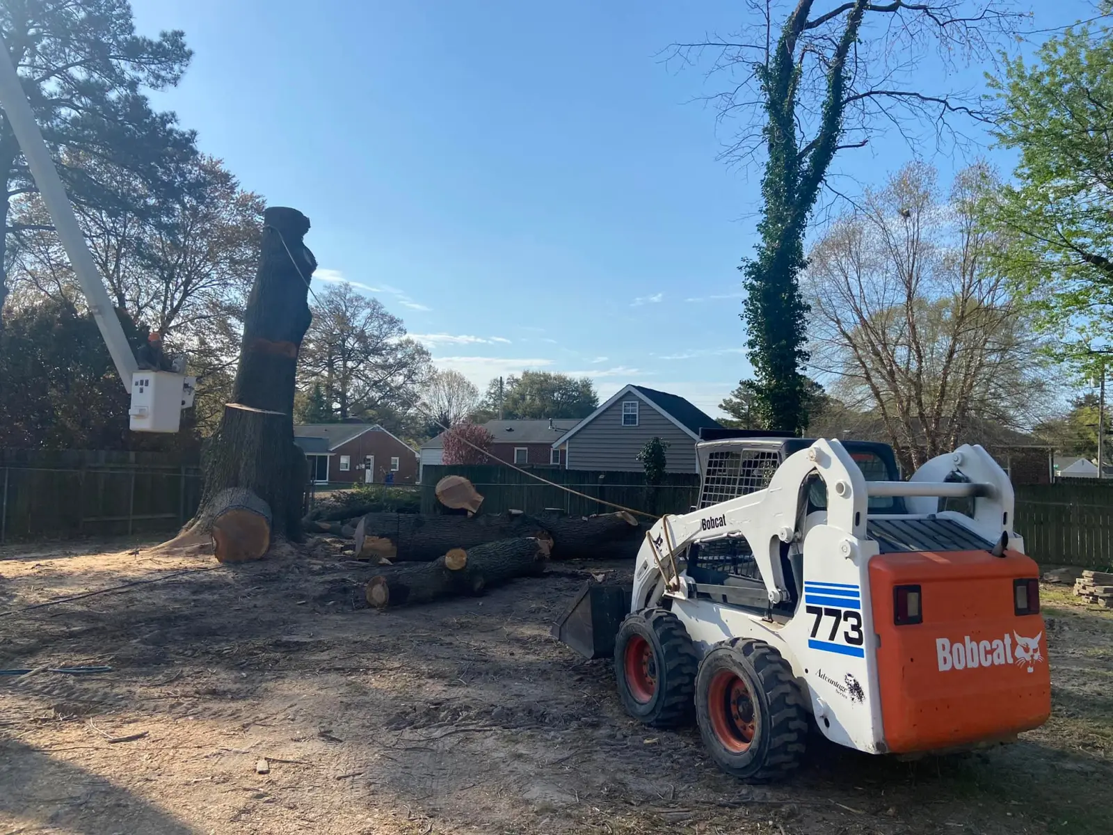 Crown trimming in Yorktown