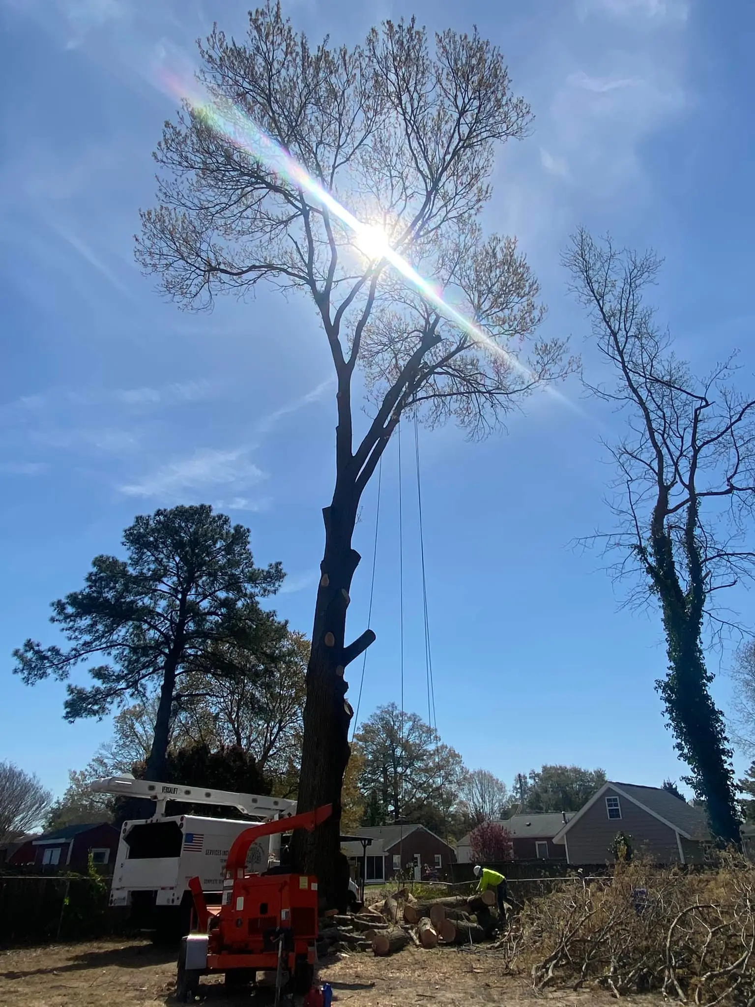 Storm damage cleanup in Hampton