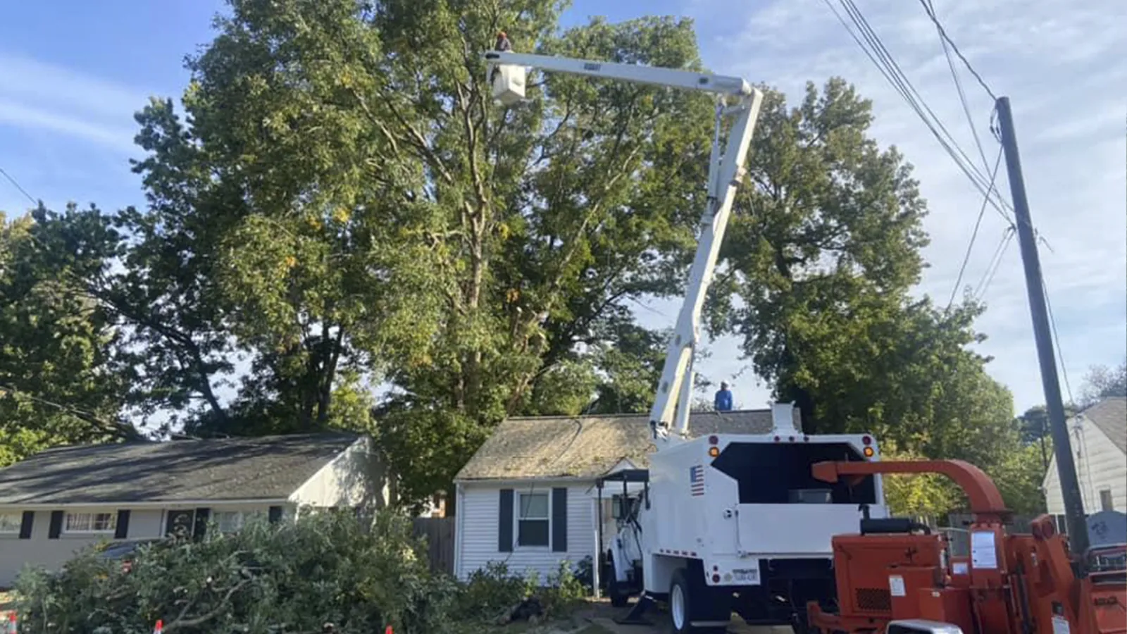 Alvarez Tree Service at work
