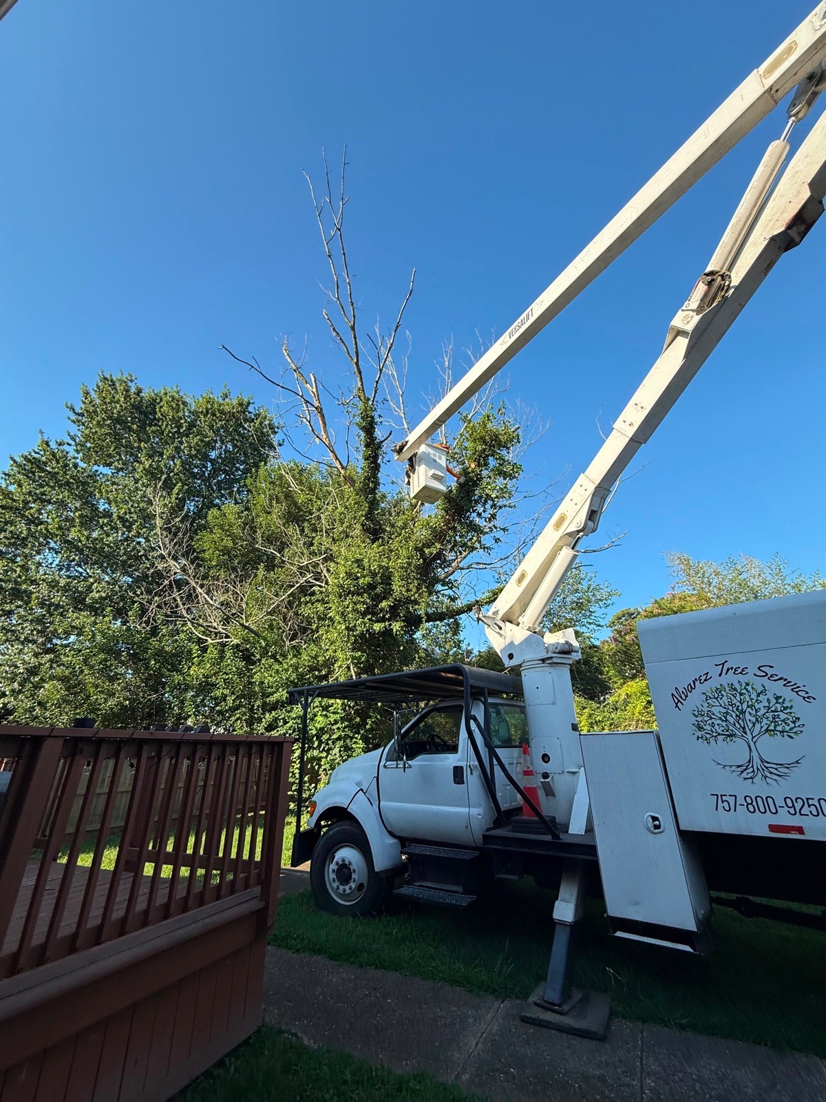 Bucket truck tree removal in Newport News