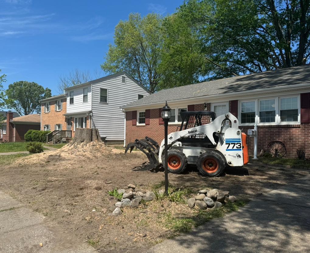 Stump grinding in Hampton