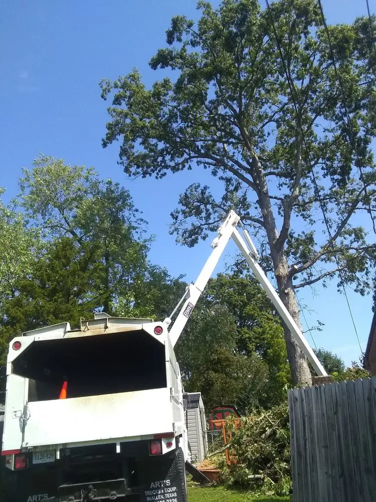Crown trimming in Hampton