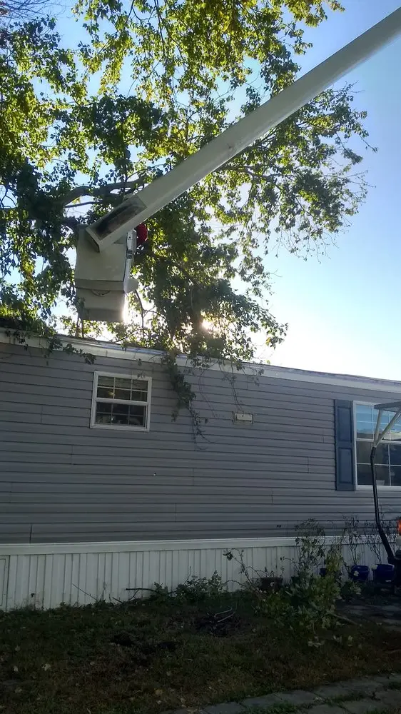 Emergency storm cleanup