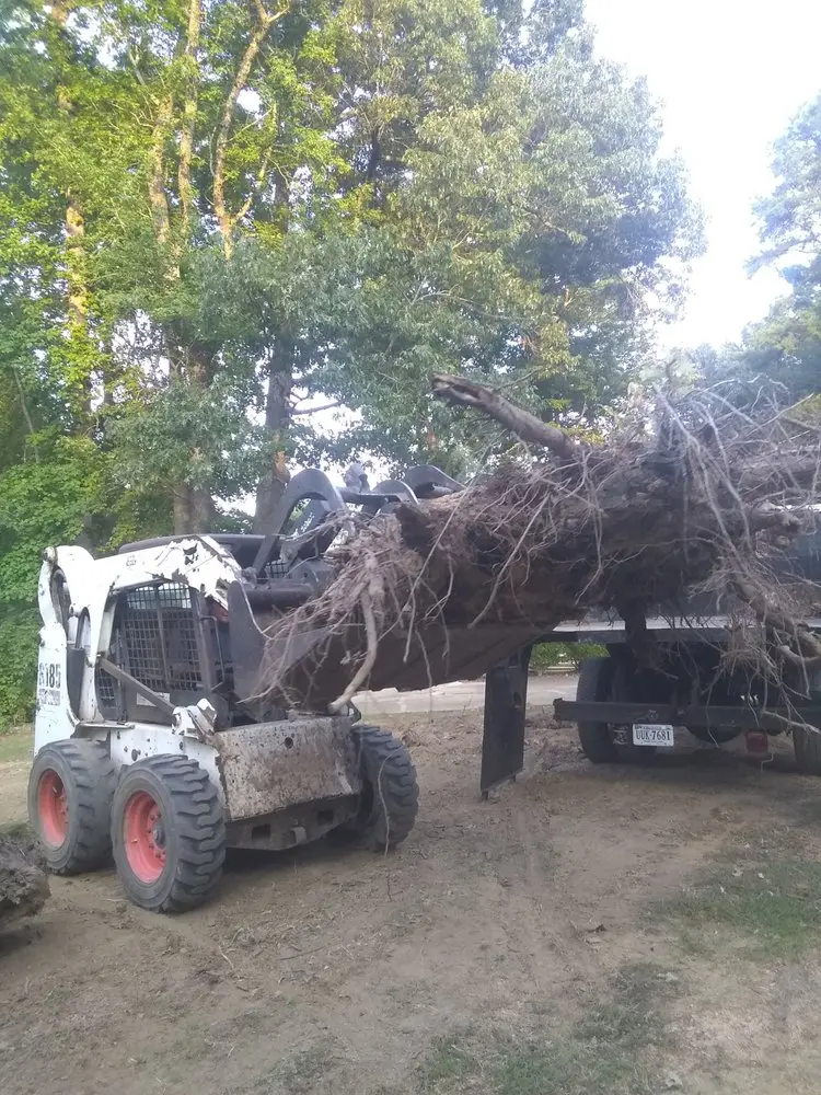 Post-removal cleanup