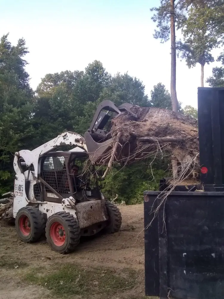Stump grinding in Newport News