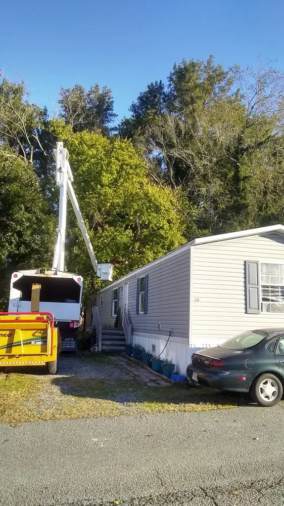 Full yard cleanup