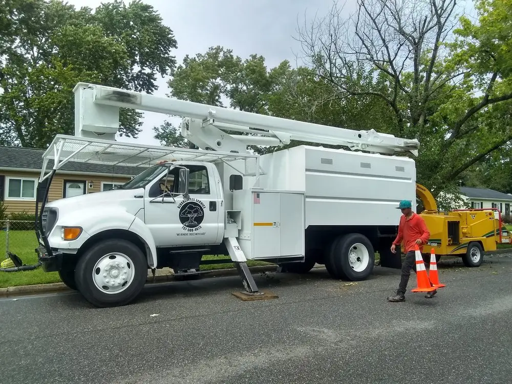 Removal in Hampton Roads