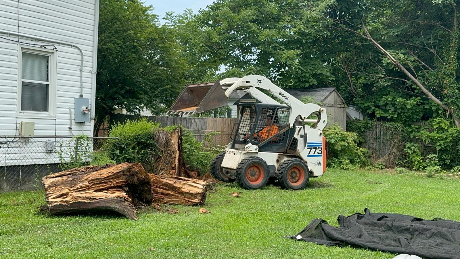Hazardous removal in Newport News