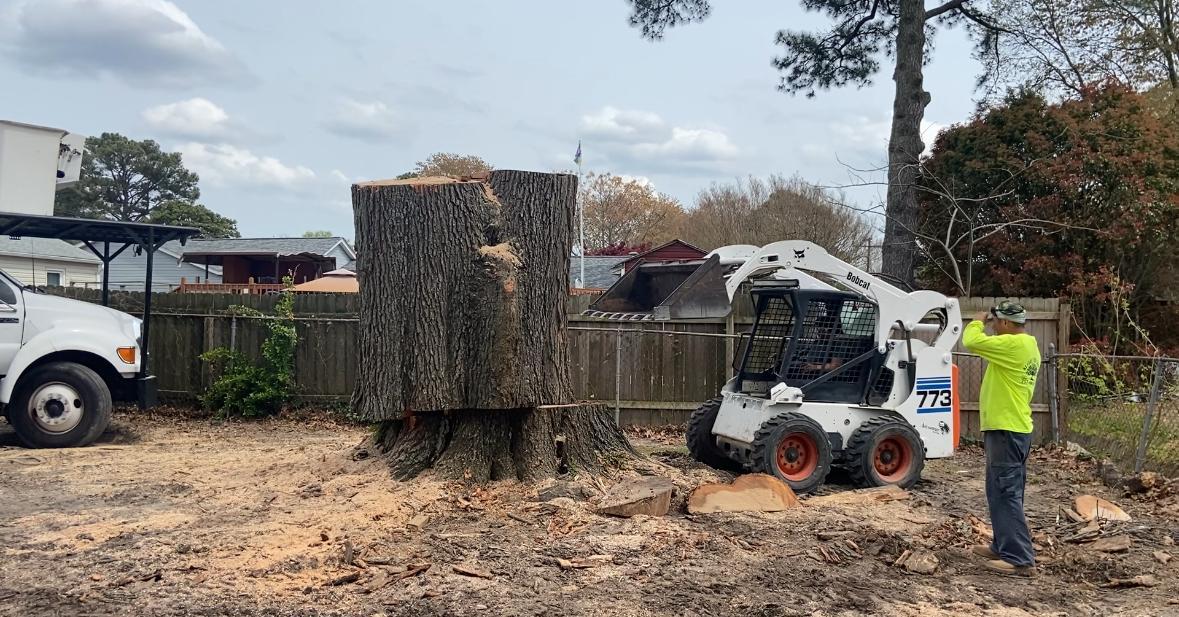 Stump Grinding