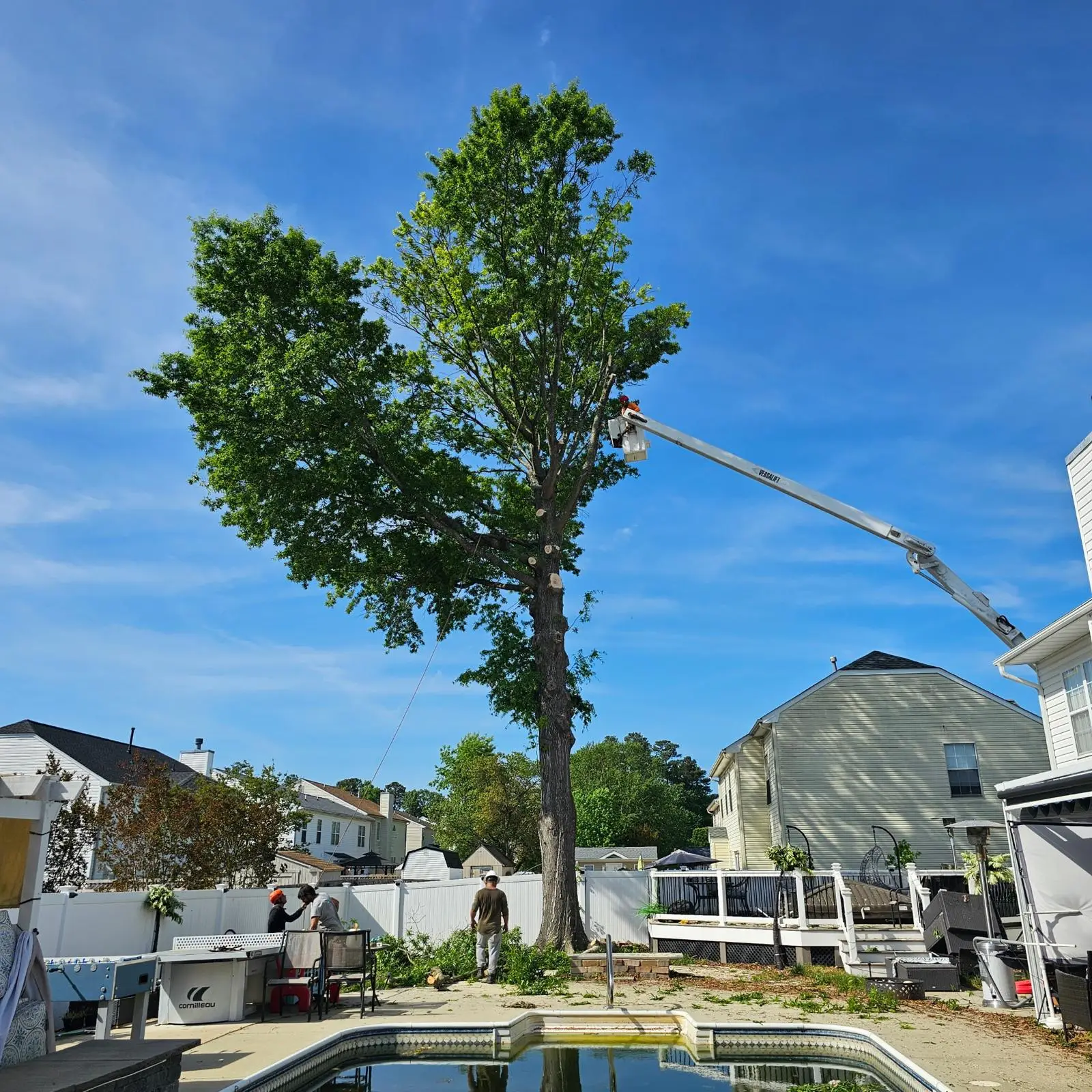 Post-removal cleanup in Newport News