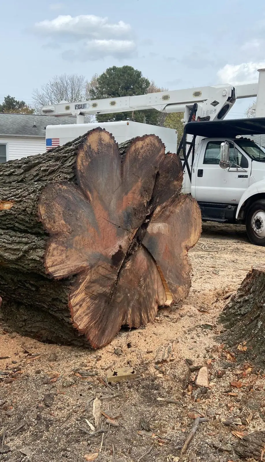 Crown trimming in Newport News