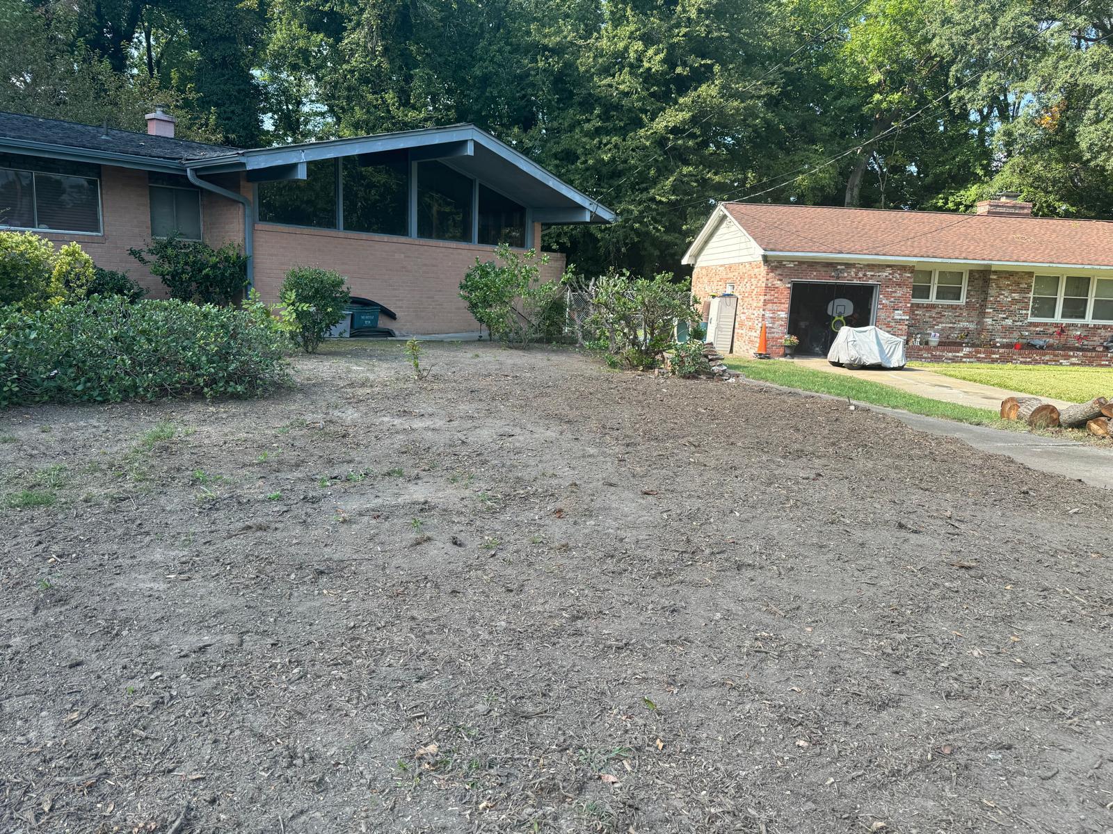 Tree removal in Yorktown