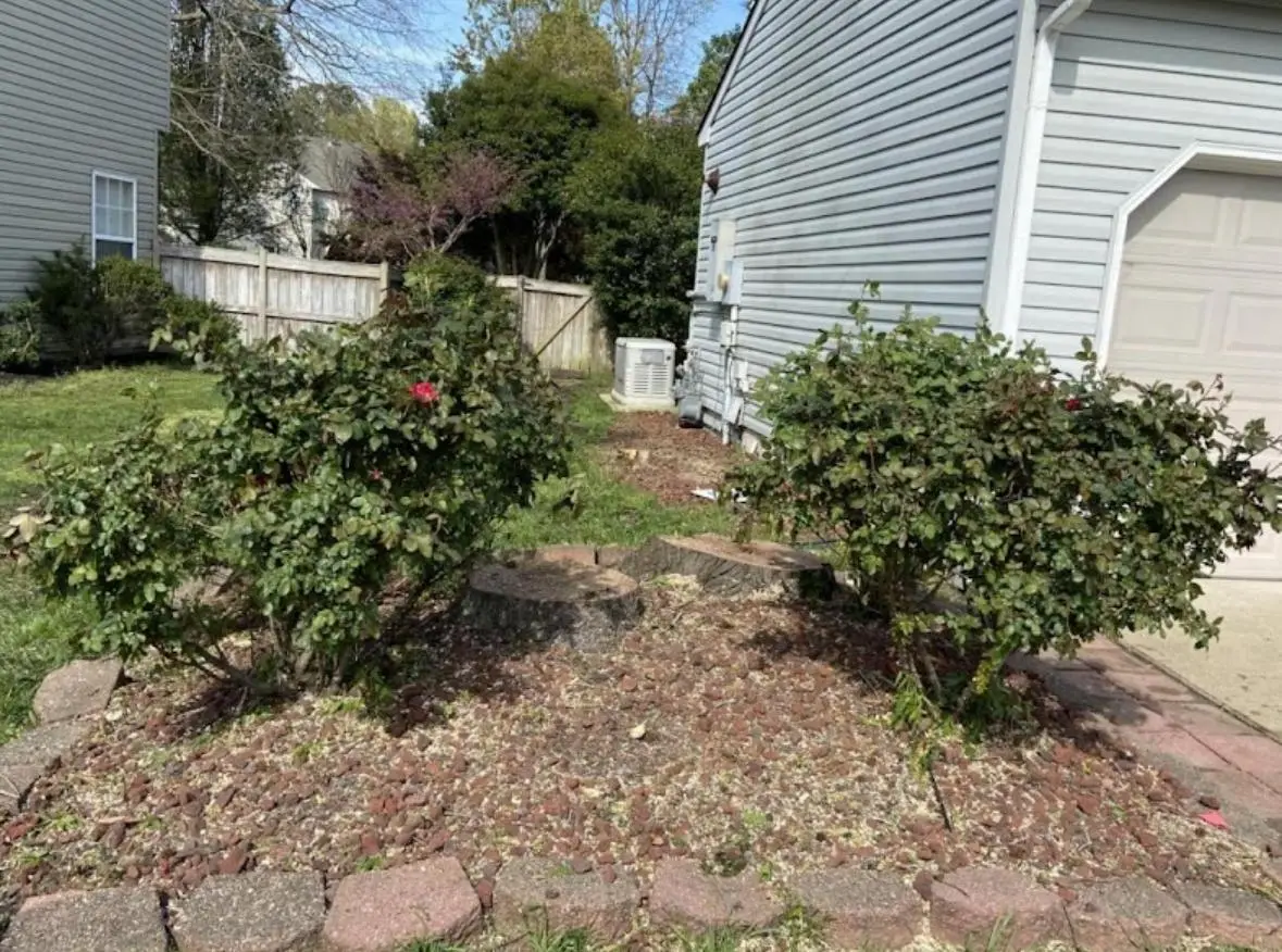 Tree removal in Newport News