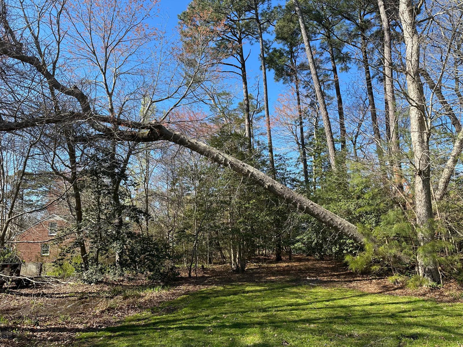 Emergency storm cleanup in Yorktown